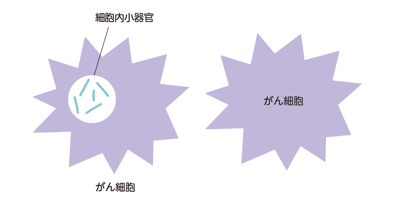 放出された薬物が、隣接する別のがん細胞にも広がって作用するようすを示した図。