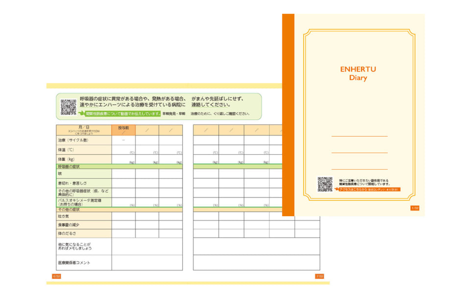 ENHERTU Diaryの実物冊子
